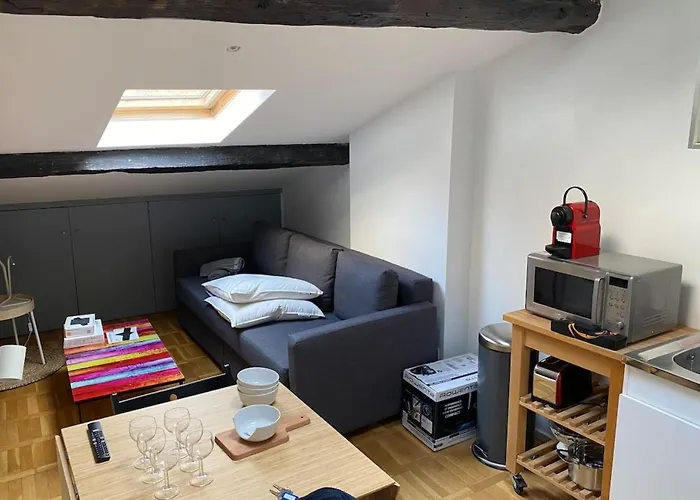 Le Petit Arloing-Studio Quais De Saone Vaise