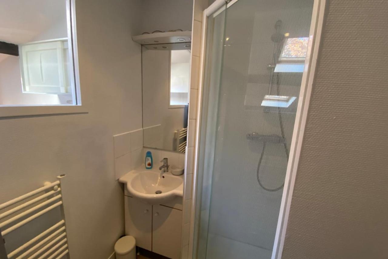 Apartment Le Petit Arloing-studio Quais De Saone Vaise Lyon