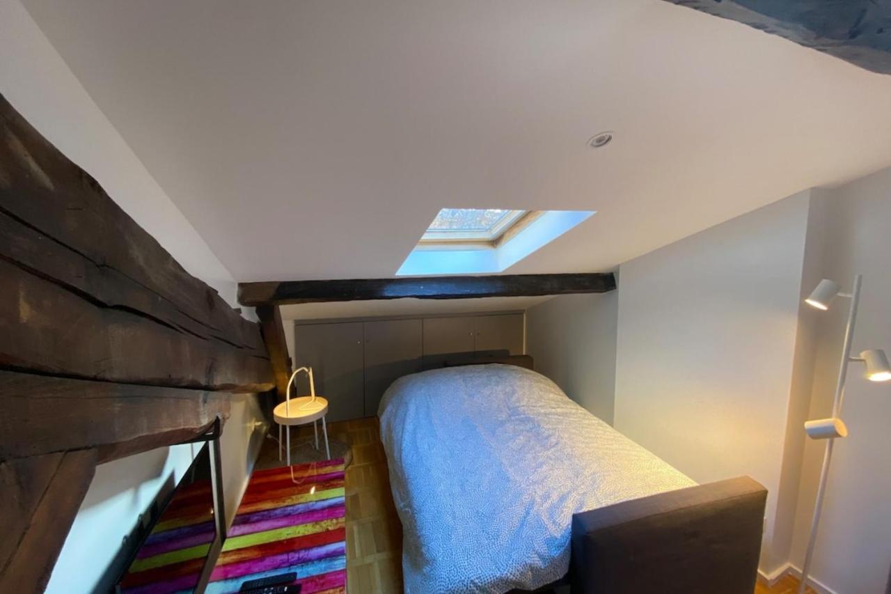 Le Petit Arloing-studio Quais De Saone Vaise Apartment Lyon