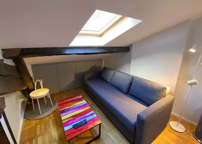 Le Petit Arloing-Studio Quais De Saone Vaise