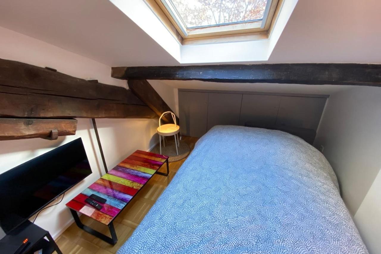 Appartement Le Petit Arloing-studio Quais De Saone Vaise